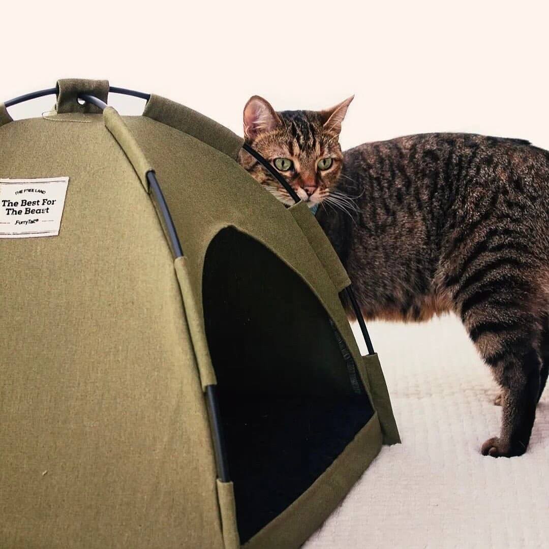😺 THE COZY CAMPER – CAT TENT BED ⛺💤