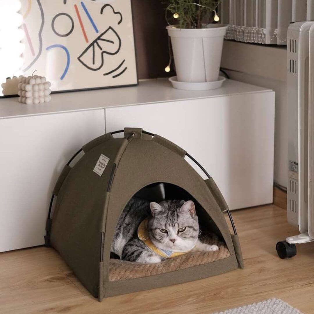 😺 THE COZY CAMPER – CAT TENT BED ⛺💤