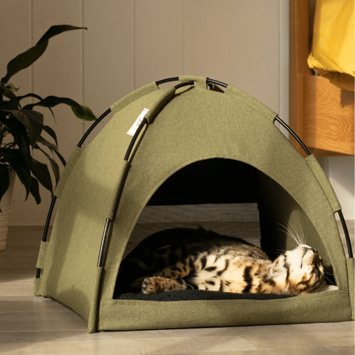 😺 THE COZY CAMPER – CAT TENT BED ⛺💤